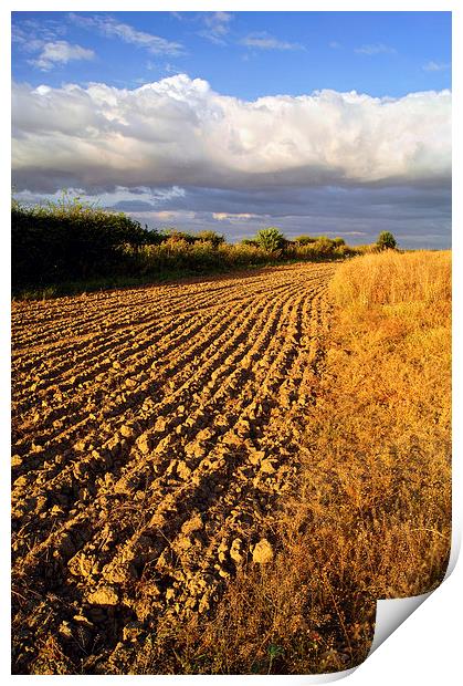 Ploughed Field Print by Darren Galpin