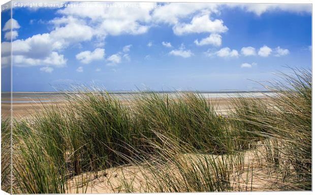 Sandy beach dunes British Coast Canvas Print by Susan Sanger