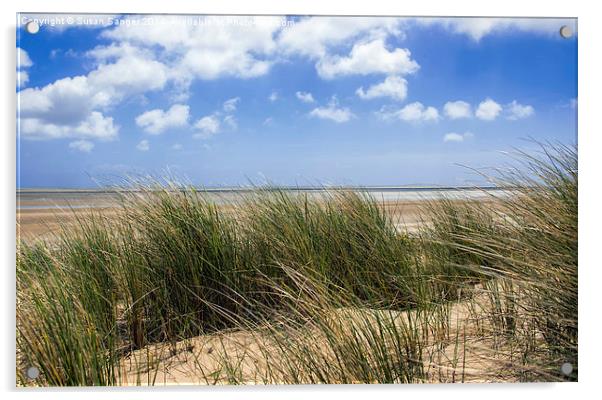 Sandy beach dunes British Coast Acrylic by Susan Sanger