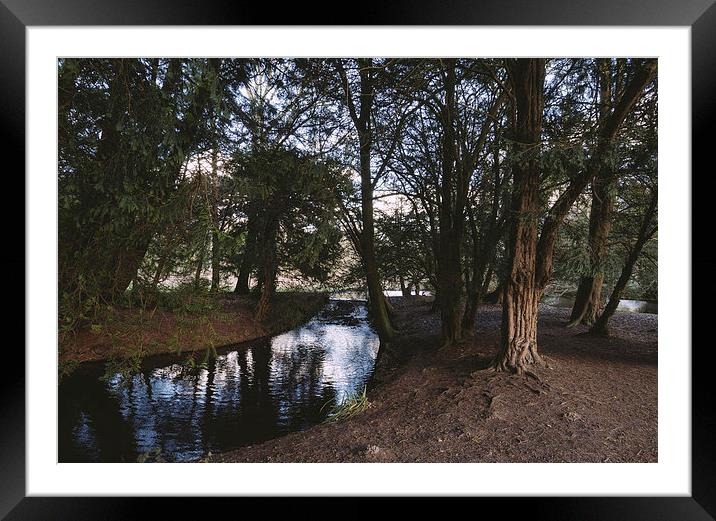 Weir in woodland. Framed Mounted Print by Liam Grant