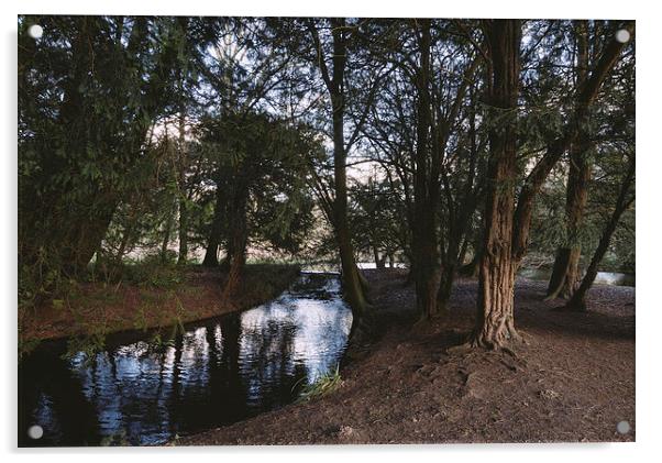 Weir in woodland. Acrylic by Liam Grant