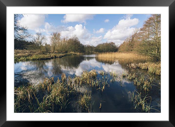 Lake reflections. Framed Mounted Print by Liam Grant