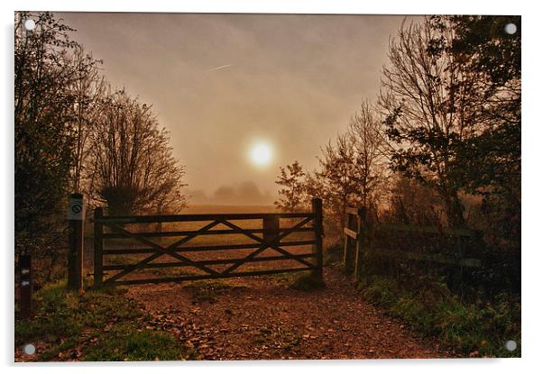 Belhus Country Park Acrylic by giuseppe baldan