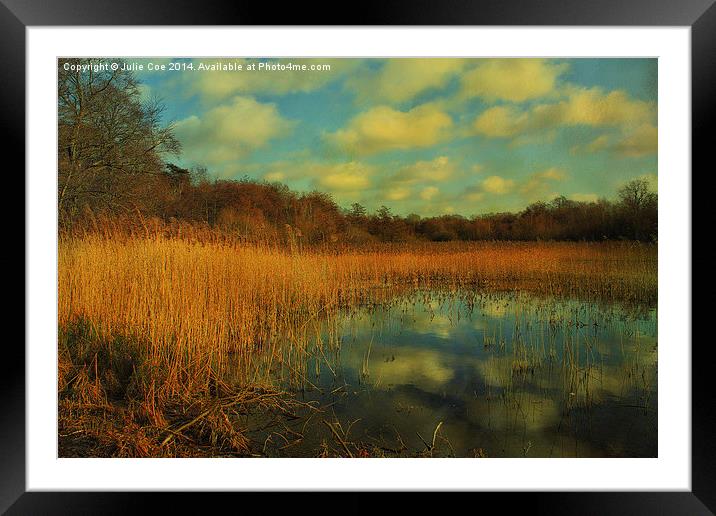 Selbrigg Pond 2 Framed Mounted Print by Julie Coe