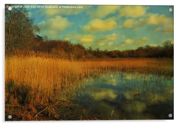 Selbrigg Pond 2 Acrylic by Julie Coe