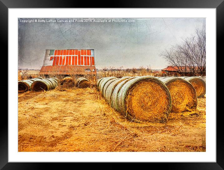 Slumbering in the Countryside Framed Mounted Print by Betty LaRue