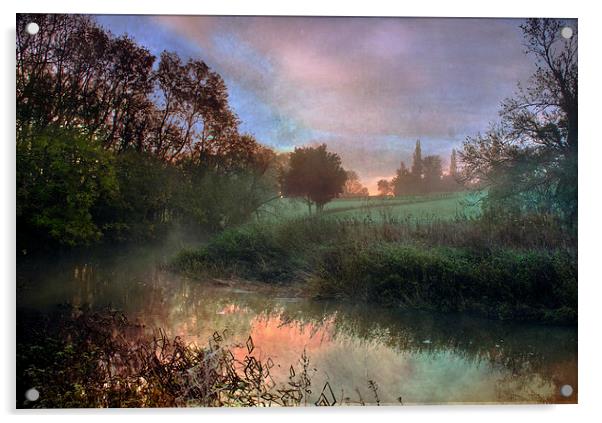 Early Morning Acrylic by Dawn Cox