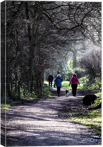 Sunday Stroll Canvas Print by Laura Witherden