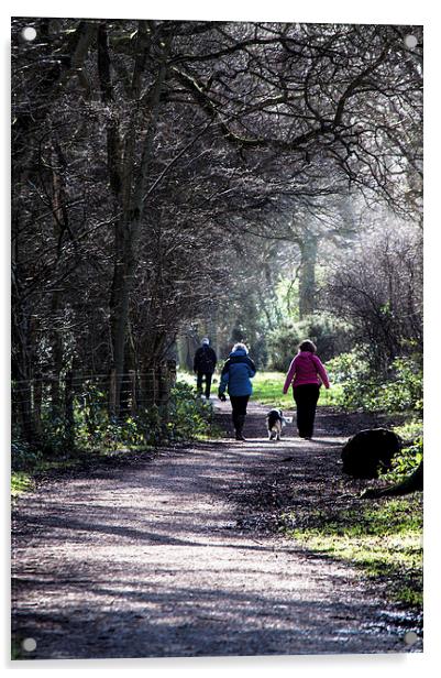 Sunday Stroll Acrylic by Laura Witherden