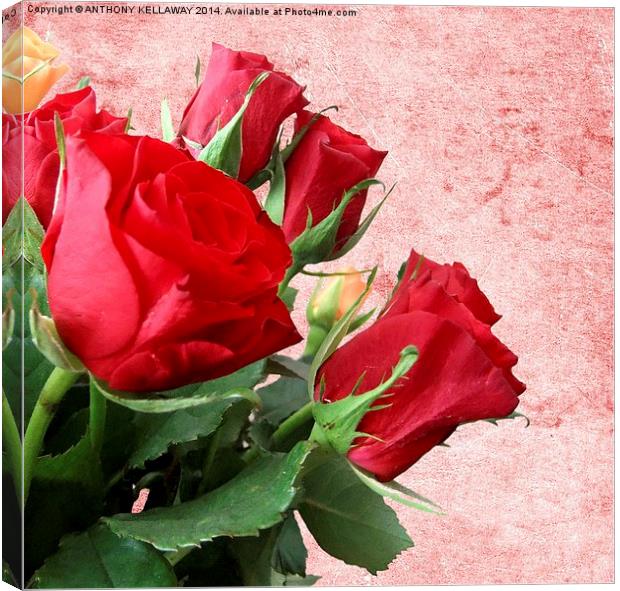 RED ROSES Canvas Print by Anthony Kellaway