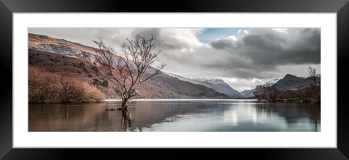 The Lone Tree Panorama Framed Mounted Print by Christine Smart