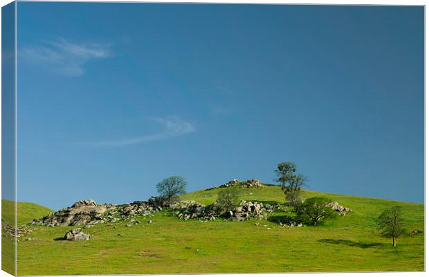 Light and shadows - Spring in central California Canvas Print by Ram Vasudev