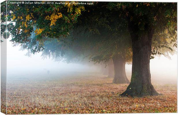 Autumn Mist Canvas Print by Julian Mitchell