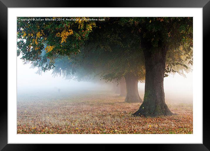 Autumn Mist Framed Mounted Print by Julian Mitchell