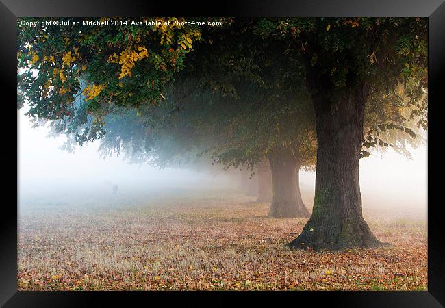 Autumn Mist Framed Print by Julian Mitchell