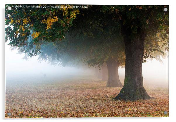Autumn Mist Acrylic by Julian Mitchell