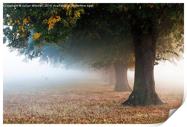 Autumn Mist Print by Julian Mitchell