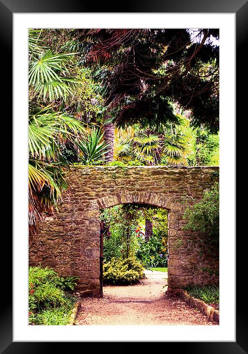 Summer wall Framed Mounted Print by Alan Pickersgill