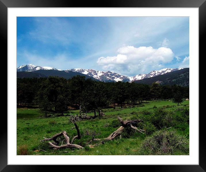 Colorado Rocky Mountain High Framed Mounted Print by Tammy Winand