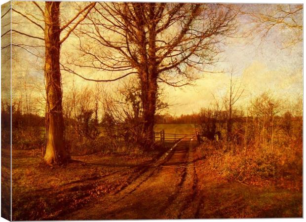 Homestead Farm Trackway. Canvas Print by Heather Goodwin