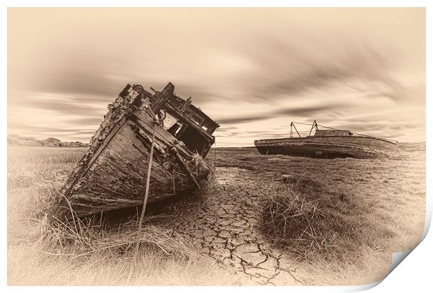 Grounded&Abandoned Print by raymond mcbride