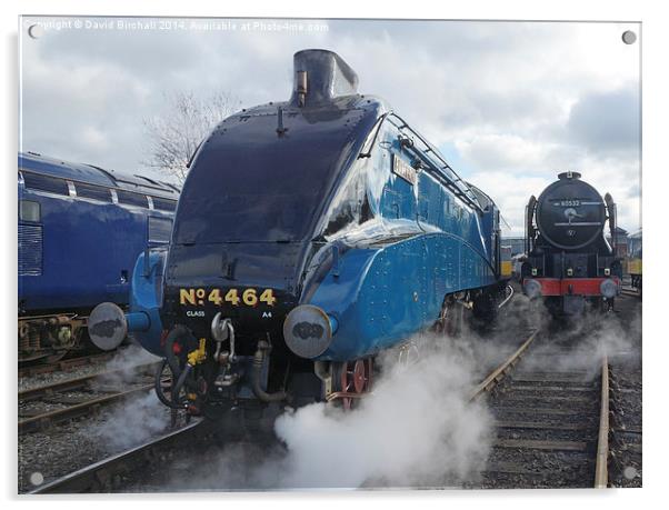 East Coast Steam Locomotive Power Acrylic by David Birchall