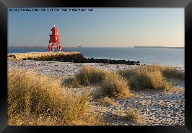 South Shields Groyne and Herd Lighthouse Framed Print by Ray Pritchard