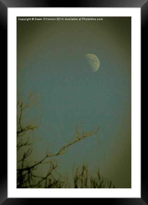 Afternoon Moon Framed Mounted Print by Dawn O'Connor