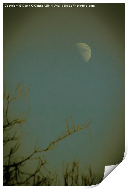 Afternoon Moon Print by Dawn O'Connor