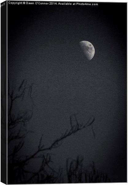 Afternoon Moon in Black and White Canvas Print by Dawn O'Connor