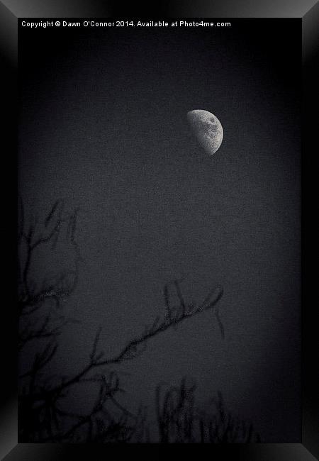 Afternoon Moon in Black and White Framed Print by Dawn O'Connor