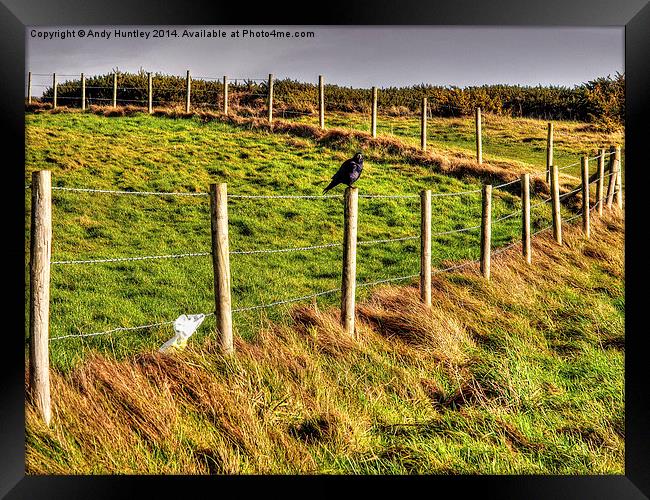 Bird on a Wire(Fence) Framed Print by Andy Huntley