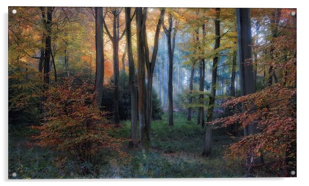 Early Autumn Morning Acrylic by Ceri Jones