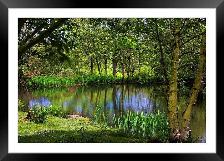Spring views Framed Mounted Print by David Hare