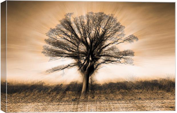 Abstract blurred tree Canvas Print by Greg Marshall