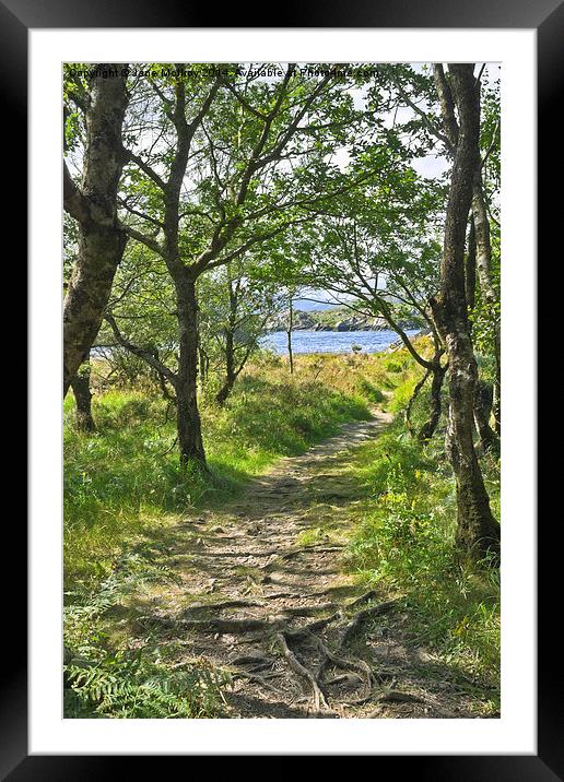 Woodland Path - Killarney Framed Mounted Print by Jane McIlroy