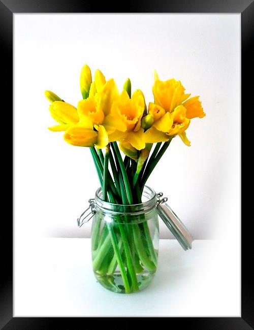 Daffodils Framed Print by Alexia Miles
