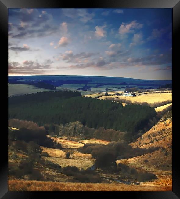 Exmoor Framed Print by Alexia Miles