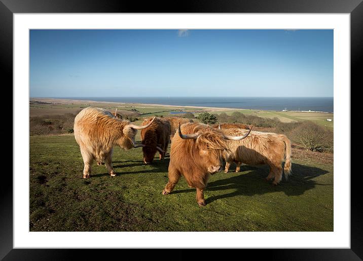 Windy Days Framed Mounted Print by Simon Wrigglesworth