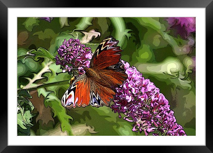 butterfly on buddleia Framed Mounted Print by allan somerville