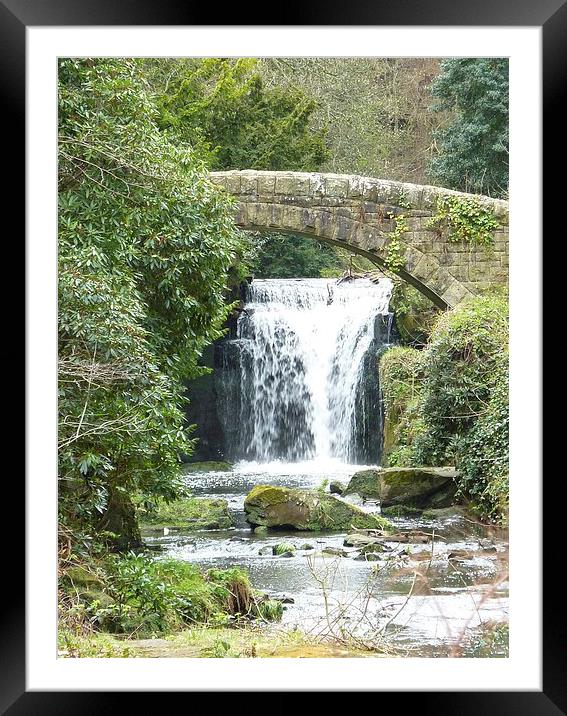 Footbridge and Waterfall Framed Mounted Print by Carly Mahone