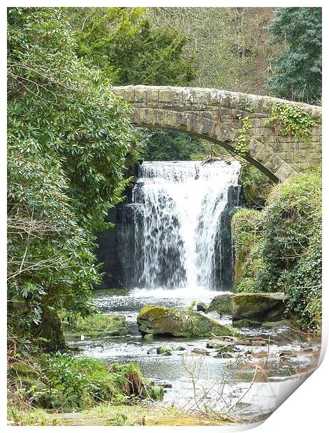 Footbridge and Waterfall Print by Carly Mahone