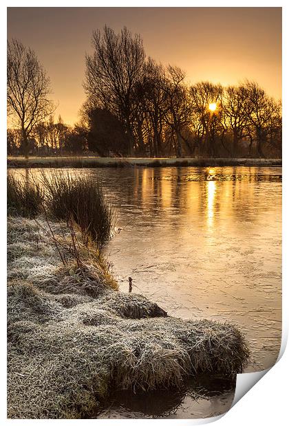 Golden Winter Sunrise Print by Christine Smart