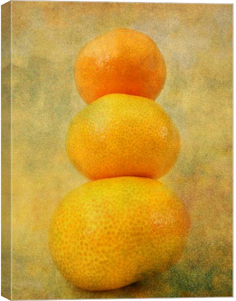 shades of orange Canvas Print by Heather Newton