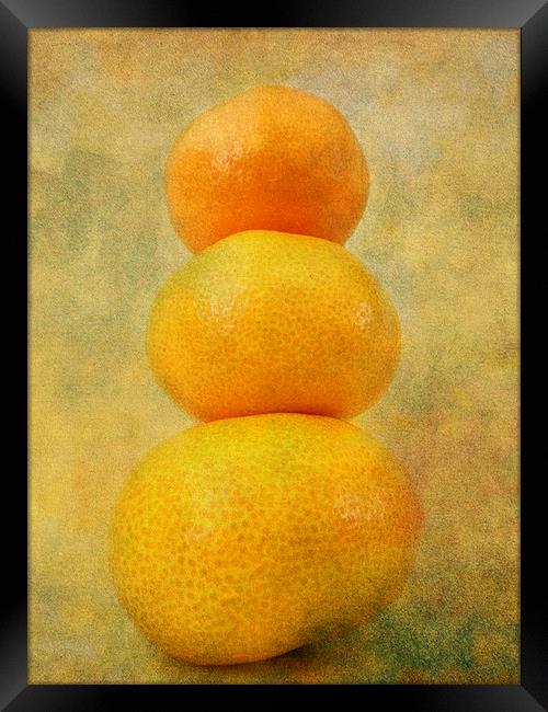 shades of orange Framed Print by Heather Newton