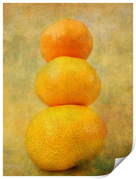 shades of orange Print by Heather Newton