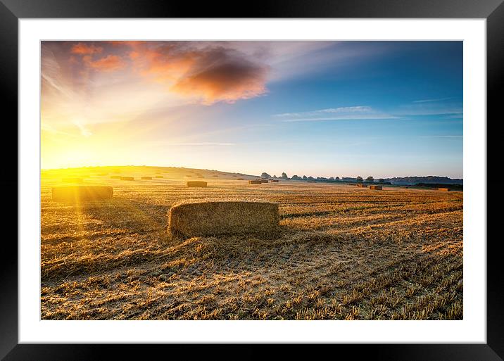 Harvest Sunrise Framed Mounted Print by Helen Hotson