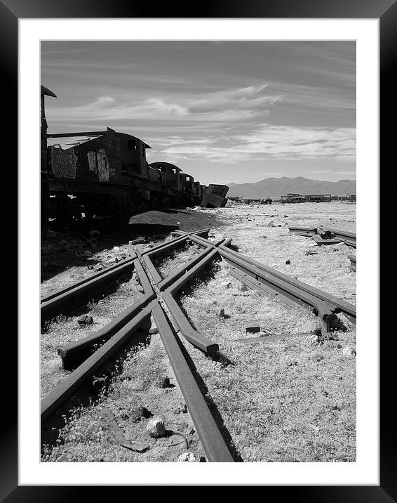 End of the line Framed Mounted Print by Liz Marshall