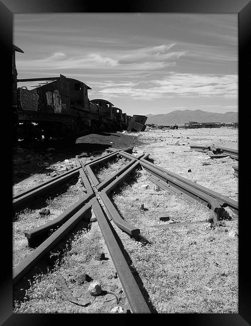 End of the line Framed Print by Liz Marshall