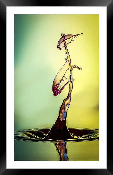 water drop Framed Mounted Print by Olavs Silis